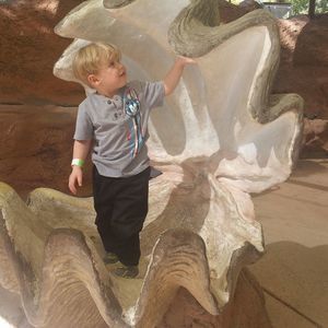 Meet your Posher, Cheryl